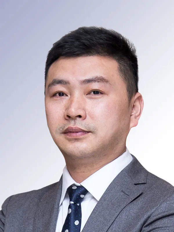 龙维