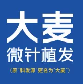 济南大麦植发