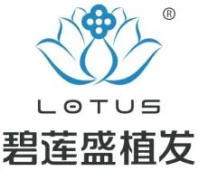 兰州碧莲盛植发